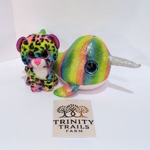 TY Beanie Rainbow Duo